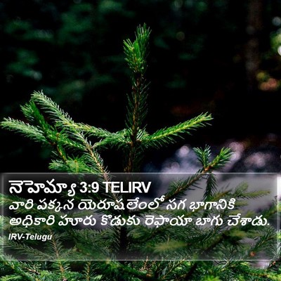 నెహెమ్యా 3:9 TELIRV Bible Verse Image