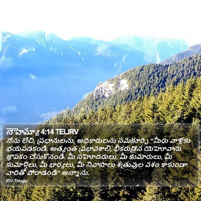 నెహెమ్యా 4:14 TELIRV Bible Verse Image