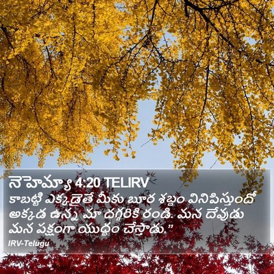 నెహెమ్యా 4:20 TELIRV Bible Verse Image