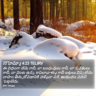 నెహెమ్యా 4:23 TELIRV Bible Verse Image