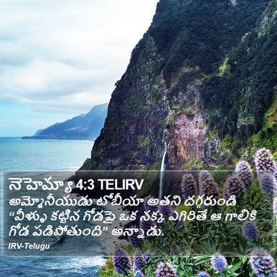 నెహెమ్యా 4:3 TELIRV Bible Verse Image
