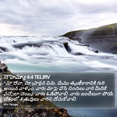 నెహెమ్యా 4:4 TELIRV Bible Verse Image