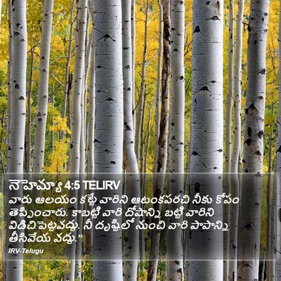 నెహెమ్యా 4:5 TELIRV Bible Verse Image