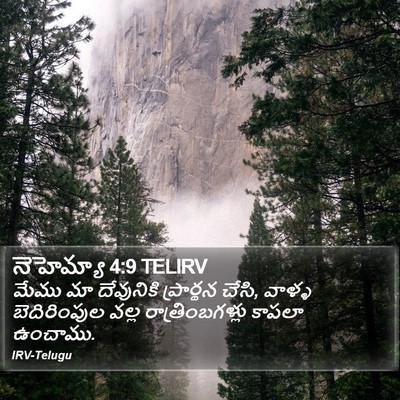 నెహెమ్యా 4:9 TELIRV Bible Verse Image