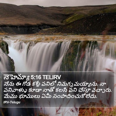 నెహెమ్యా 5:16 TELIRV Bible Verse Image