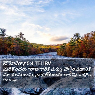 నెహెమ్యా 5:4 TELIRV Bible Verse Image