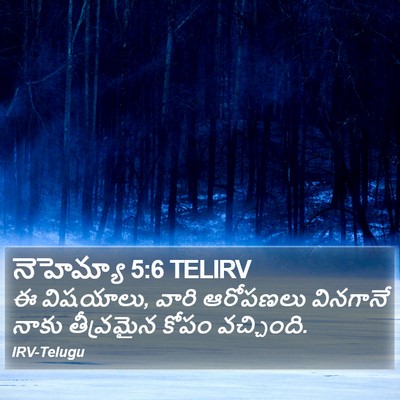 నెహెమ్యా 5:6 TELIRV Bible Verse Image