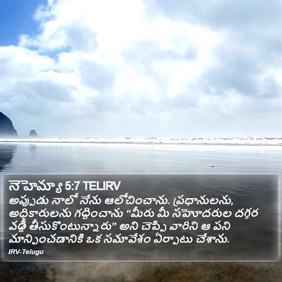 నెహెమ్యా 5:7 TELIRV Bible Verse Image