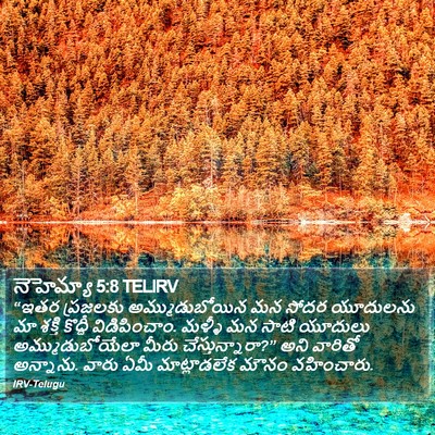 నెహెమ్యా 5:8 TELIRV Bible Verse Image