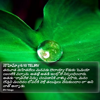 నెహెమ్యా 6:10 TELIRV Bible Verse Image