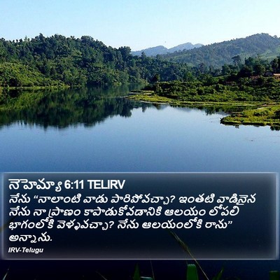 నెహెమ్యా 6:11 TELIRV Bible Verse Image