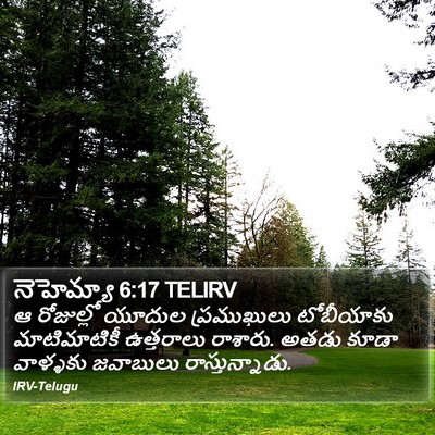 నెహెమ్యా 6:17 TELIRV Bible Verse Image