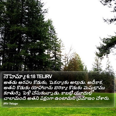 నెహెమ్యా 6:18 TELIRV Bible Verse Image