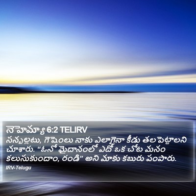 నెహెమ్యా 6:2 TELIRV Bible Verse Image