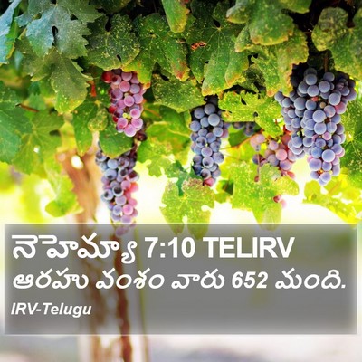 నెహెమ్యా 7:10 TELIRV Bible Verse Image