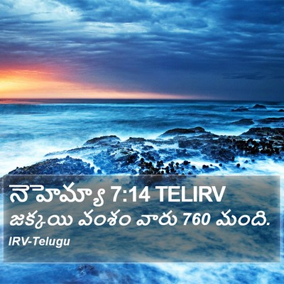నెహెమ్యా 7:14 TELIRV Bible Verse Image