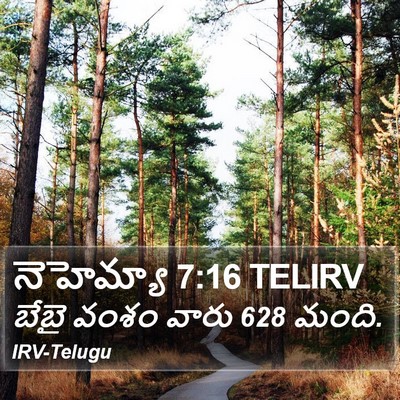 నెహెమ్యా 7:16 TELIRV Bible Verse Image