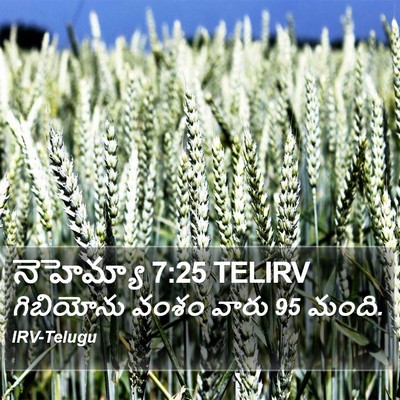 నెహెమ్యా 7:25 TELIRV Bible Verse Image