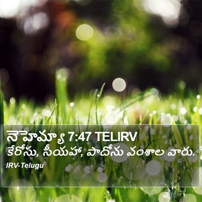 నెహెమ్యా 7:47 TELIRV Bible Verse Image