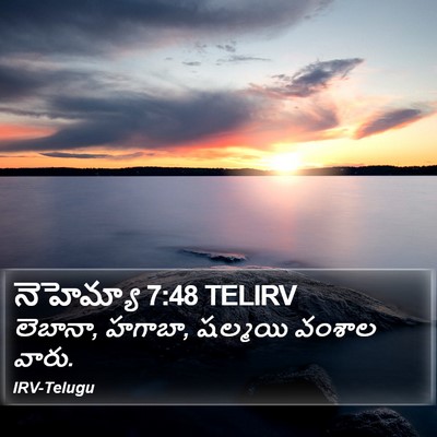 నెహెమ్యా 7:48 TELIRV Bible Verse Image