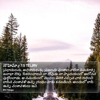నెహెమ్యా 7:5 TELIRV Bible Verse Image