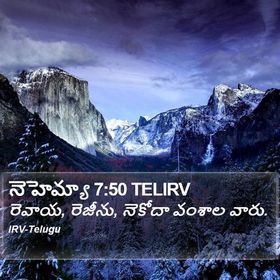 నెహెమ్యా 7:50 TELIRV Bible Verse Image