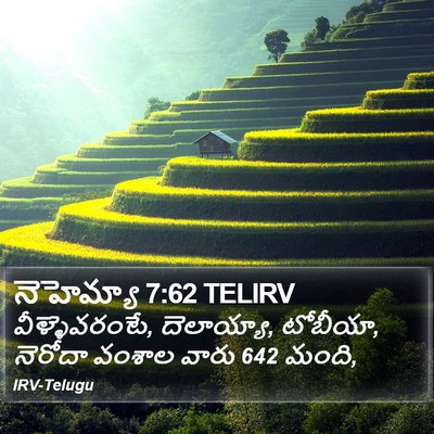 నెహెమ్యా 7:62 TELIRV Bible Verse Image