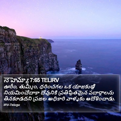 నెహెమ్యా 7:65 TELIRV Bible Verse Image