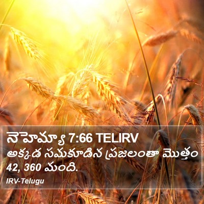 నెహెమ్యా 7:66 TELIRV Bible Verse Image