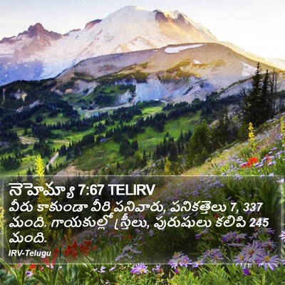 నెహెమ్యా 7:67 TELIRV Bible Verse Image