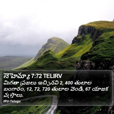 నెహెమ్యా 7:72 TELIRV Bible Verse Image