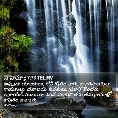 నెహెమ్యా 7:73 TELIRV Bible Verse Image