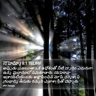 నెహెమ్యా 8:1 TELIRV Bible Verse Image