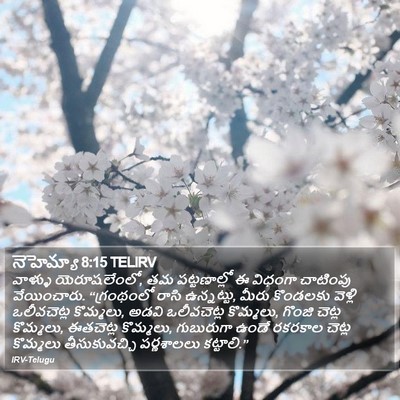 నెహెమ్యా 8:15 TELIRV Bible Verse Image