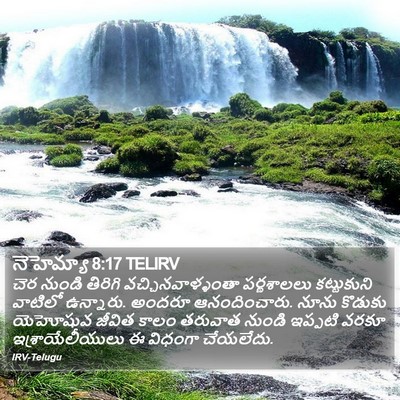 నెహెమ్యా 8:17 TELIRV Bible Verse Image