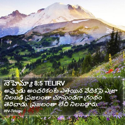 నెహెమ్యా 8:5 TELIRV Bible Verse Image
