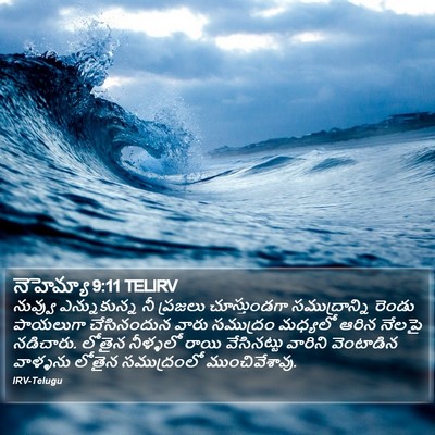 నెహెమ్యా 9:11 TELIRV Bible Verse Image