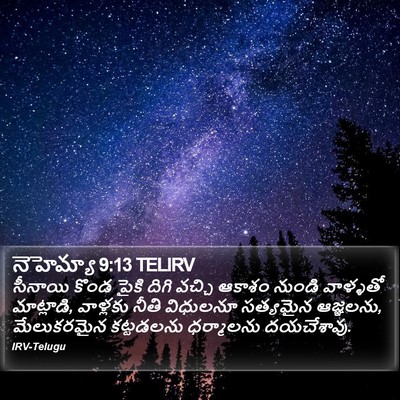 నెహెమ్యా 9:13 TELIRV Bible Verse Image