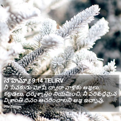 నెహెమ్యా 9:14 TELIRV Bible Verse Image