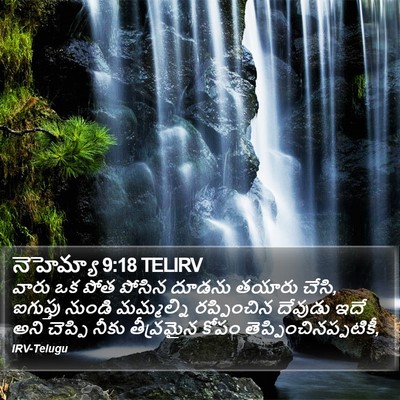 నెహెమ్యా 9:18 TELIRV Bible Verse Image