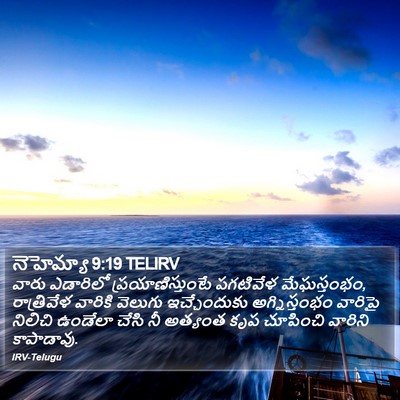 నెహెమ్యా 9:19 TELIRV Bible Verse Image