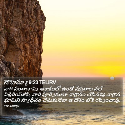 నెహెమ్యా 9:23 TELIRV Bible Verse Image