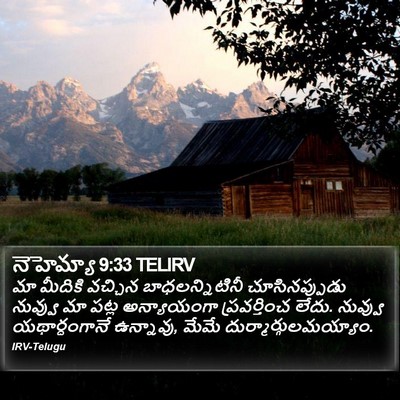 నెహెమ్యా 9:33 TELIRV Bible Verse Image