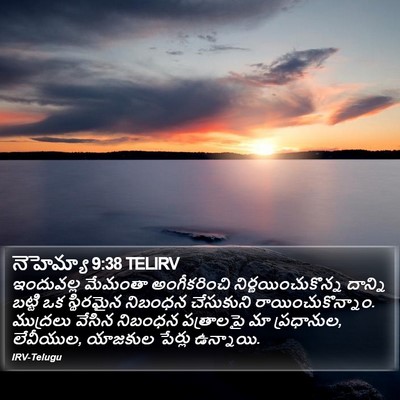 నెహెమ్యా 9:38 TELIRV Bible Verse Image