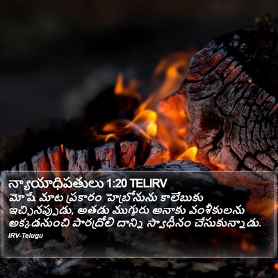 న్యాయాధిపతులు 1:20 TELIRV Bible Verse Image