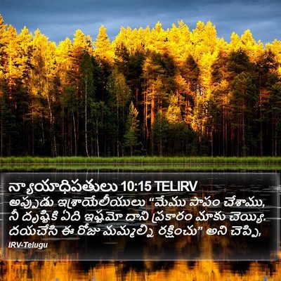 న్యాయాధిపతులు 10:15 TELIRV Bible Verse Image
