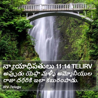 న్యాయాధిపతులు 11:14 TELIRV Bible Verse Image