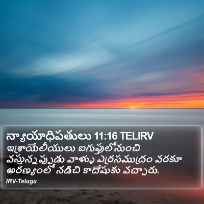 న్యాయాధిపతులు 11:16 TELIRV Bible Verse Image