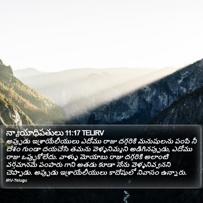 న్యాయాధిపతులు 11:17 TELIRV Bible Verse Image