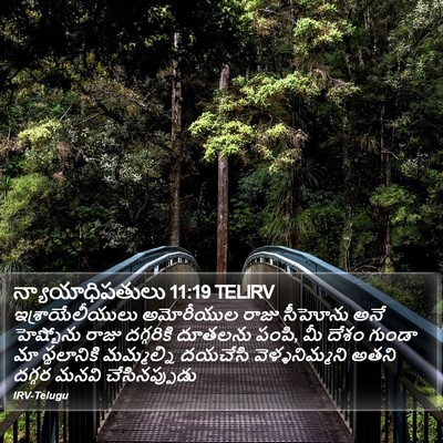 న్యాయాధిపతులు 11:19 TELIRV Bible Verse Image